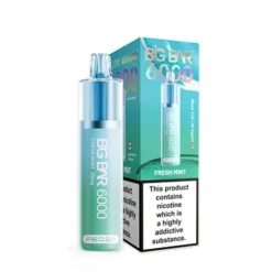 Feoba Big Bar 6000 Disposable Vape 20mg -Electronic Cigarette Shop Feoba Big Bar 6000 Disposable Vape 20mg Fresh Mint