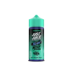 Just Juice Mint E-liquid 100ml -Electronic Cigarette Shop Just Juice Mint E liquid 100ml Blue Mint